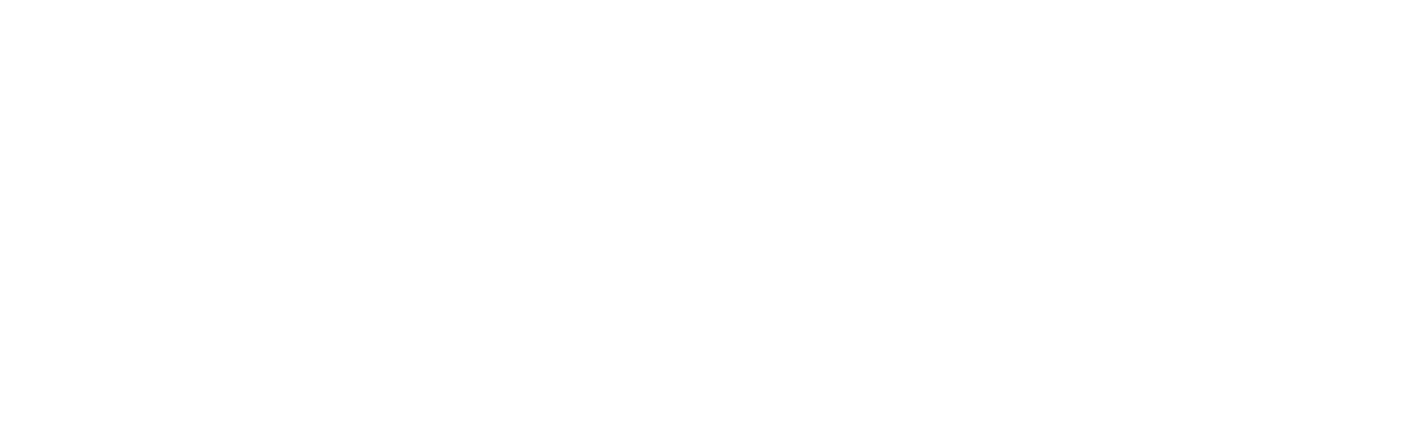 EZnet Software logo white